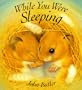 While You Were Sleeping