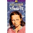 Snake Pit