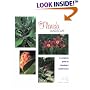 Your Florida Landscape: A Complete Guide to Planting and Maintenance