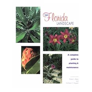 Your Florida Landscape: A Complete Guide to Planting and Maintenance