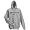 NFL Critical Victory Hoody - Men's ( sz. XL )