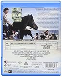 Image de Black Stallion