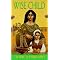 The Old Gods: only the best pagan historical fiction and fantasy