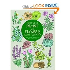 Big Book of Plant and Flower Illustrations (Dover Pictorial Archives)