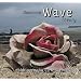 Dominant Wave Theory