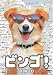 ビンゴ! [DVD]