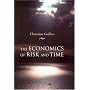 The Economics Of Risk And Time