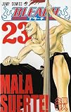 Bleach, Volume 23 (in Japanese)