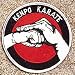 Kenpo Karate Patch