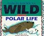 Crafts for Kids Who Are Wild About Polar Regions