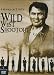DVD : Wild West Shootout 4 Movie Pack