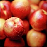 Royal Empress Nectarines