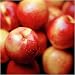 Royal Empress Nectarines