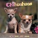 Chihuahuas 2007 Wall Calendar