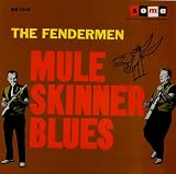 Mule Skinner Blues