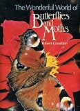 The wonderful world of butterflies and moths