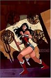 Books : Wonder Woman: The Circle (Wonder Woman)