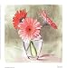 Coral Gerbera HIGH QUALITY CANVAS Print With Light Added BRUSHSTROKES Mary Kay Krell 7x7
