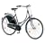 NOBLESSE Hollandrad Damenrad 28 3-Gang mit R�cktrittbremse und Seitenst�nder NEU