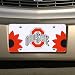 Ohio State Buckeyes Flower Power Silver Mirrored License Plate
