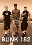 Blink-182 Mark Tom Travis On The Road 24X34 Poster