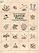 Charted Designs Danish Floral Charted Designs