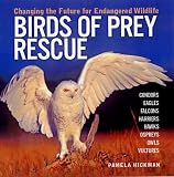 Birds of Prey Rescue: Changing the Future for Endangered Wildlife (Firefly Animal Rescue)