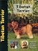 Tibetan Terrier (Pet love)
