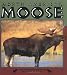 Book North American Moose (Nature Watch)