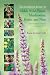 The Complete Guide to Edible Wild Plants, Mushrooms, Fruits, and Nuts: How to Find, Identify, and Cook Them (Complete)