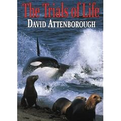 The Trials of Life : A Natural History of Animal Behaviour