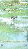 The Wetlands Sirocco Acoustic