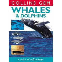 Whales & Dolphins (Collins Gem)