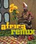 Africa Remix: Contemporary Art of a Continent
