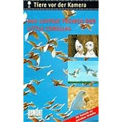 Tiere vor der Kamera: Das lustige Treiben der Little Corellas [VHS]