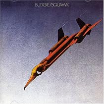 Squawk