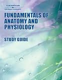 Study Guide for Rizzo's Delmar's Fundamentals of Anatomy and Physiology