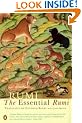 The Essential Rumi