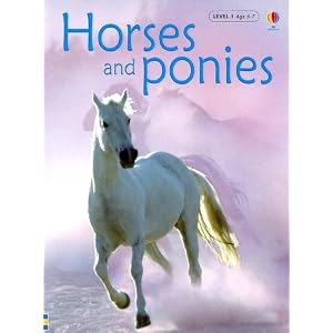 horses and ponies, pets book, kids books