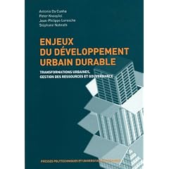Enjeux du d�veloppement urbain durable : Transformations urbaines, gestion des ressources et gouvernance