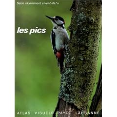 Les pics