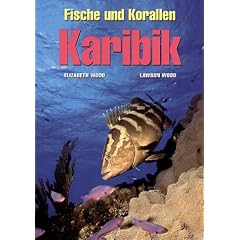 Fische und Korallen. Karibik