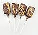 See's Candies 8.4 oz. Chocolate Caramel Lollypops