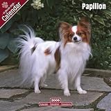 Papillon 2009 Wall Calendar