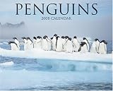 Penguins 2008 Calendar