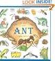 The Life and Times of the Ant