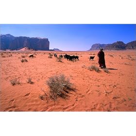 photographie Bedouin woman herding flock of sheep and goats between Jebel Umm E'iil and Jebel Kha...