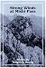 Book Strong Winds at Mishi Pass