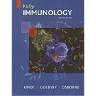 Kuby Immunology (Kindt, Kuby Immunology) by Thomas J. Kindt, Barbara A. Osborne, and Richard A. Goldsby