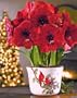 Amaryllis Red Lion Trio in a Winter Cardinal Cachepot